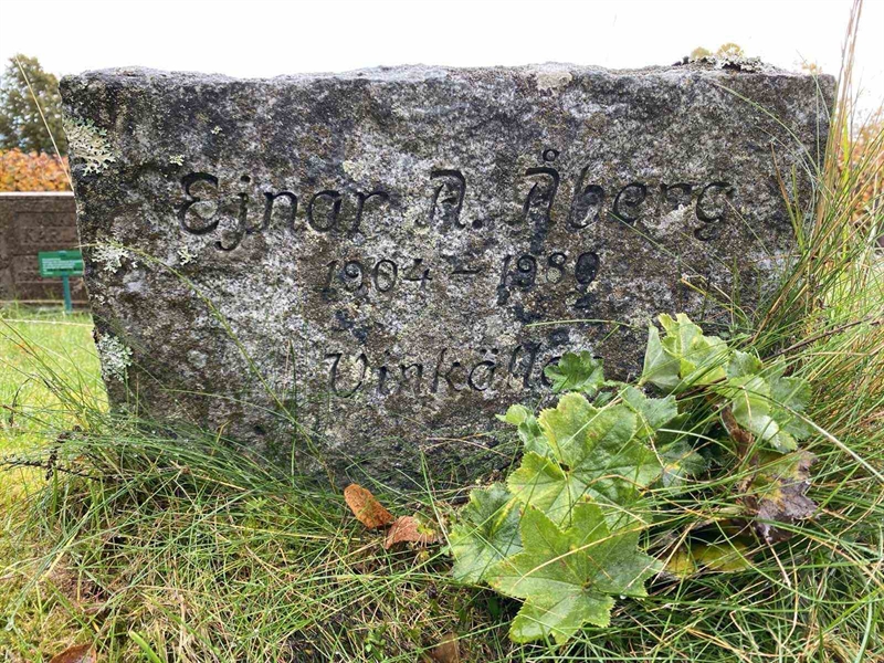 Grave number: 1 24    101