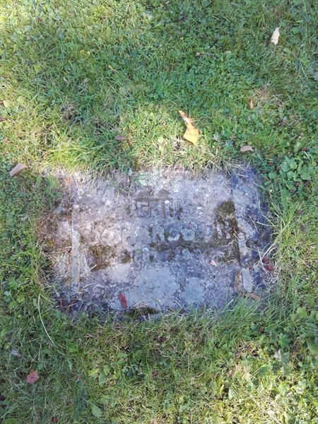 Grave number: NO 07    99