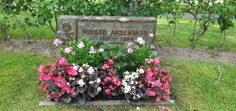 Grave number: Jä 03    43