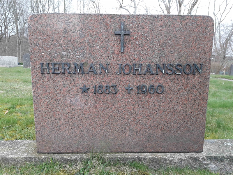 Grave number: TÖ 4   204