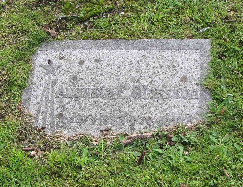 Grave number: HG DUVAN   445, 446
