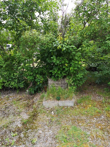 Hautatunnus: SK V     5