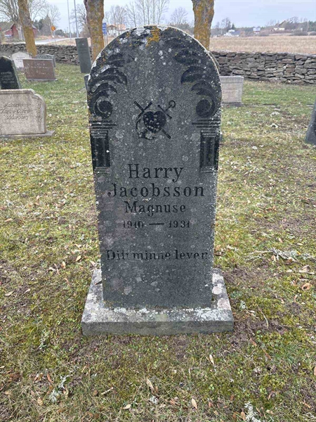 Gravnummer: LE   468