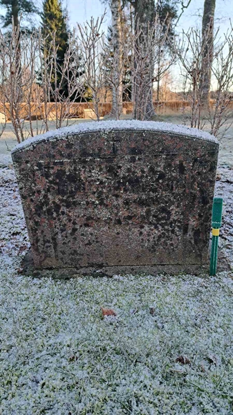 Gravnummer: 6 05     81