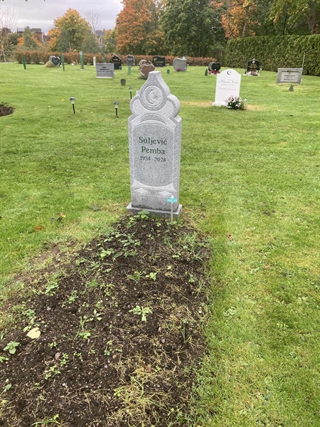 Hautatunnus: 1 3 M/Be   121