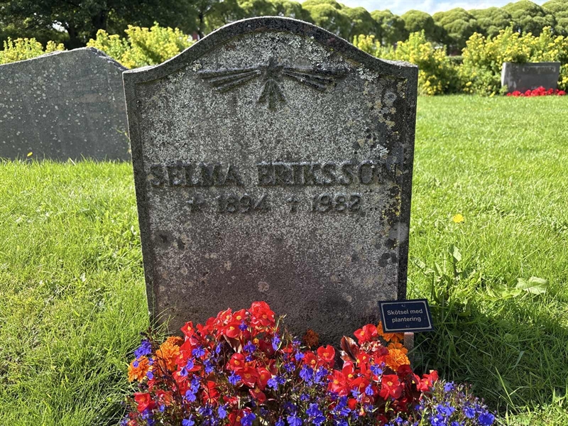 Grave number: SÄ NYA   195