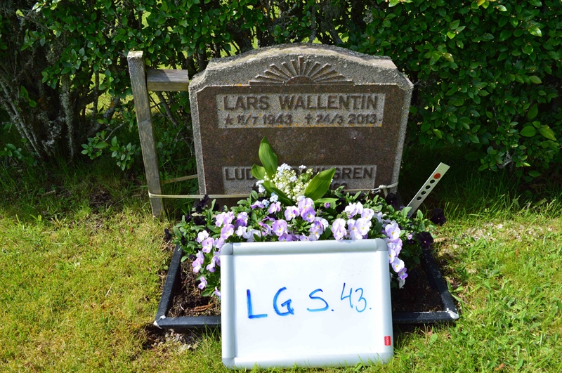 Grave number: LG S    43