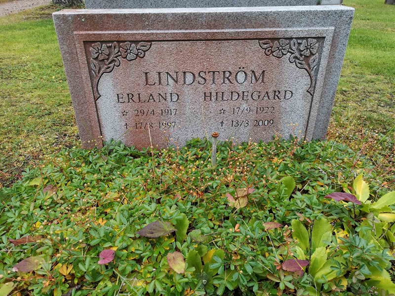 Hautatunnus: VLM 13    10-11