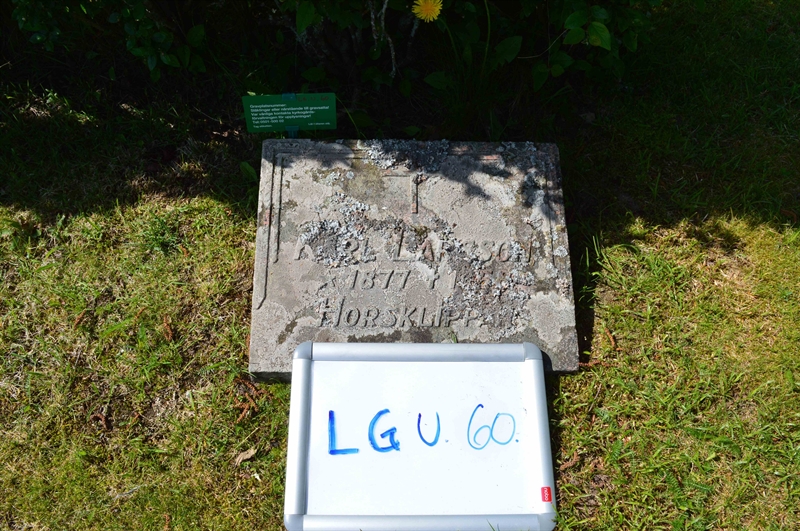 Grave number: LG U    60