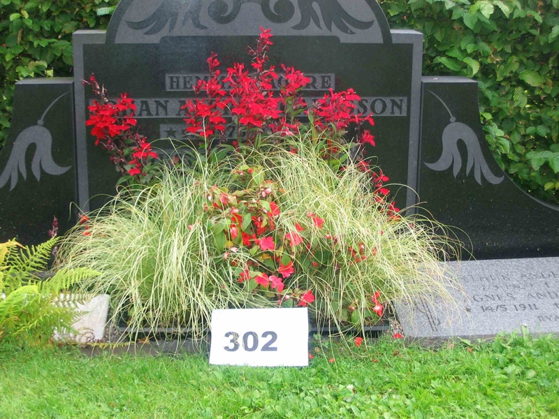 Grave number: FK 03    302
