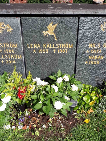 Hautatunnus: GK U 4   237