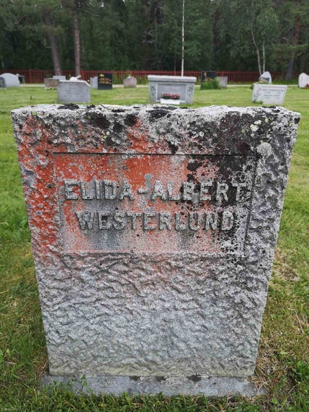 Hautatunnus: PK   238