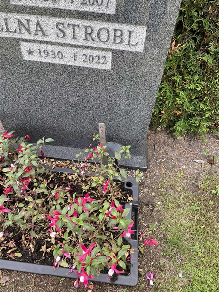 Grave number: 02 G   226