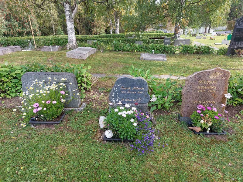 Grave number: FÖ 3    16