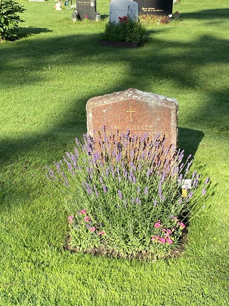 Hautatunnus: 2 C   534