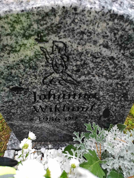 Hautatunnus: VLM 15    23