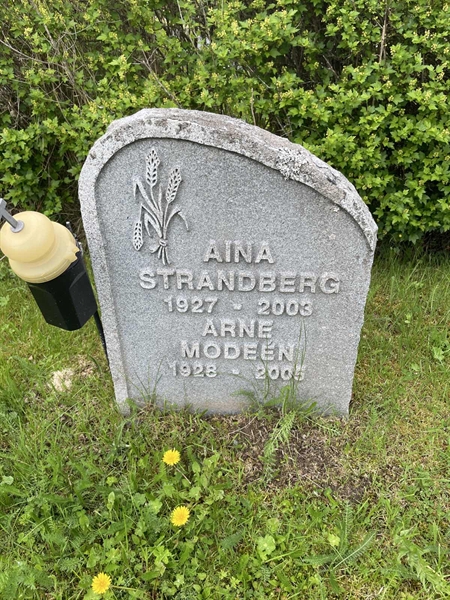 Grave number: DU ND    36