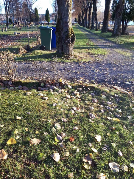 Gravnummer: GK F 3   311