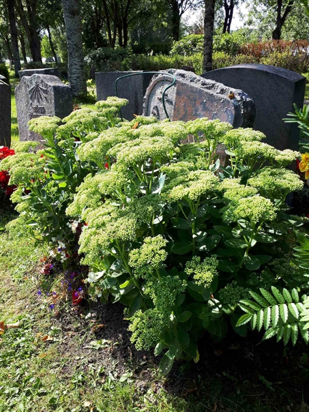 Gravnummer: GK U 4   260