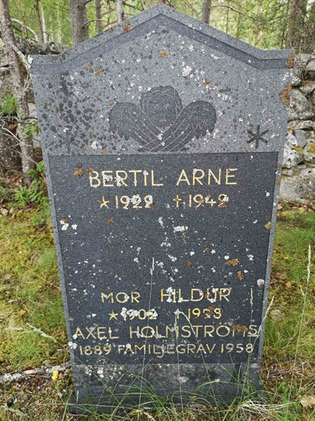 Hautatunnus: SK A     8