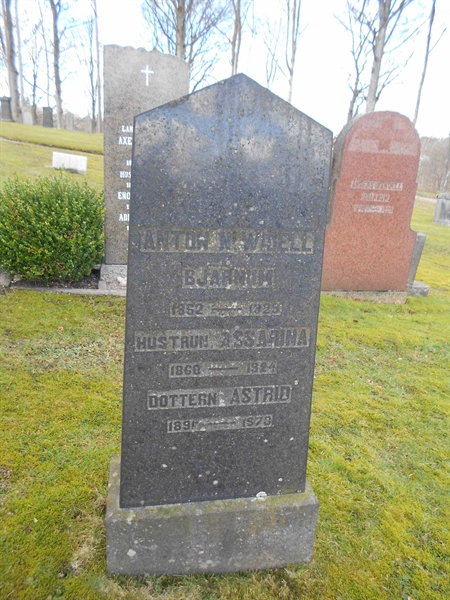 Grave number: NÅ G1    36, 37