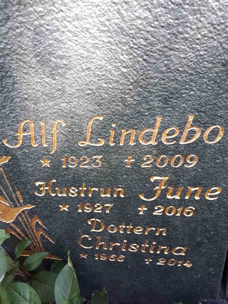 Hautatunnus: GK U 4   291