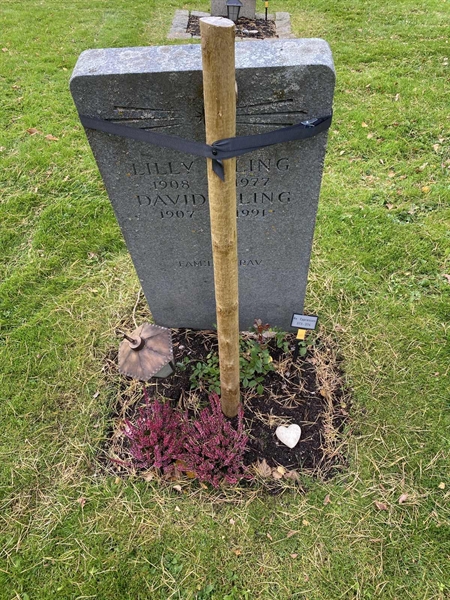 Gravnummer: 2 C   373-374