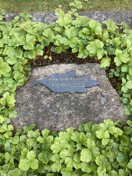 Gravnummer: MÖ G VI 24