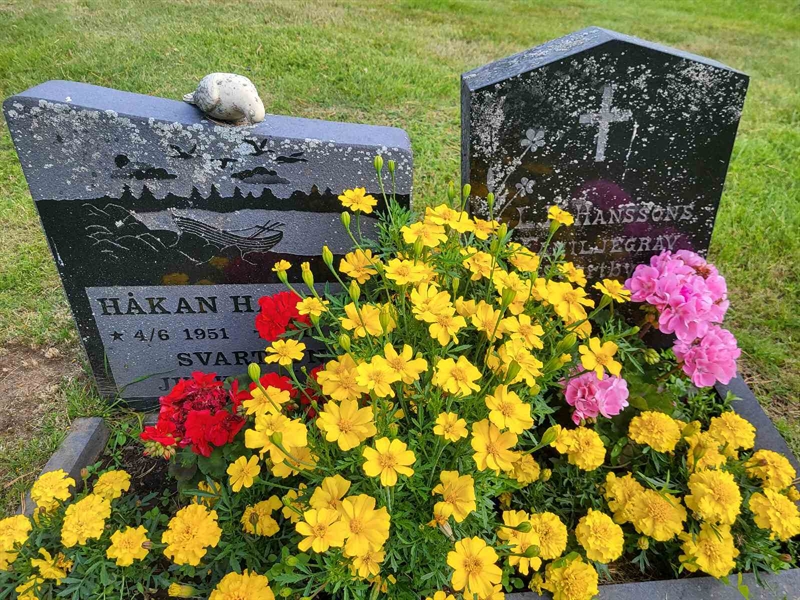 Grave number: 001 1     7