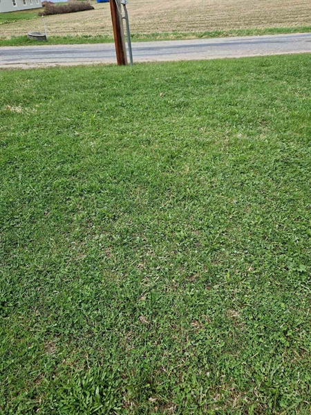 Grave number: 501 08 1073