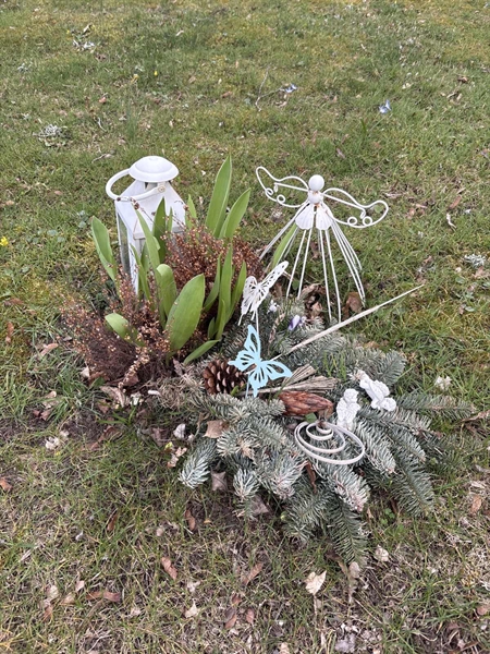 Grave number: FA 231
