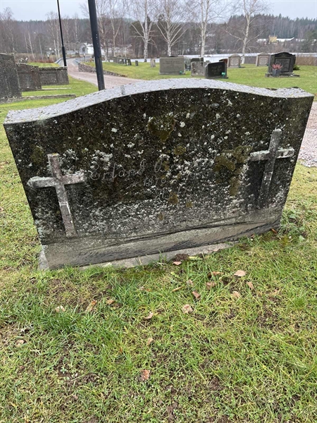 Hautatunnus: Vårv Kv3 142
