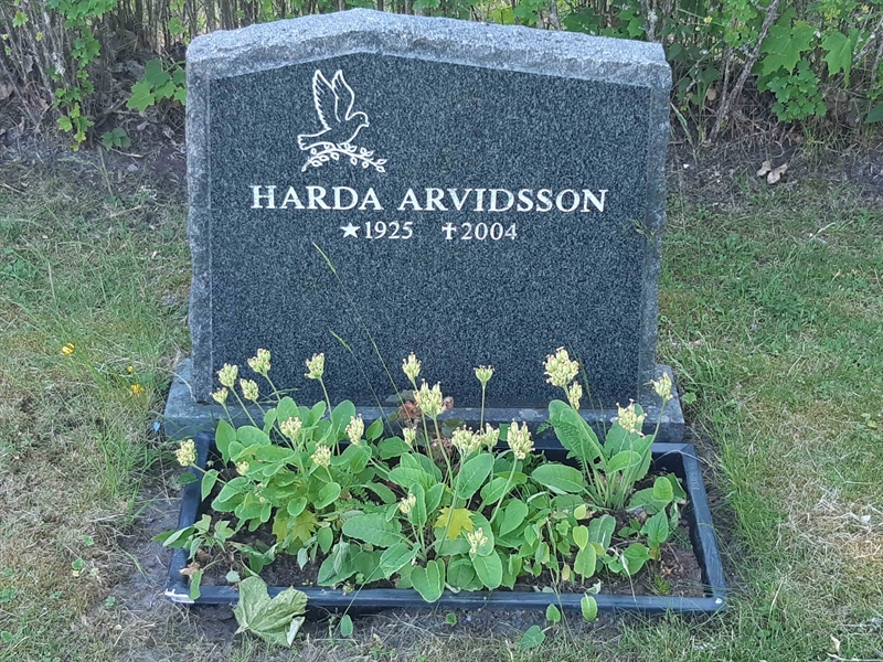 Grave number: JÄ 10    14