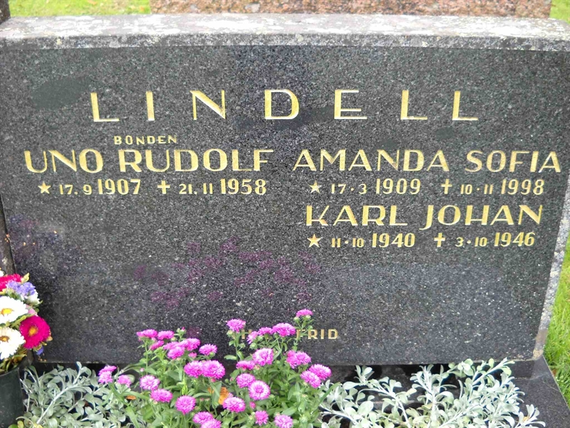 Grave number: 3 MB 11 34, 36