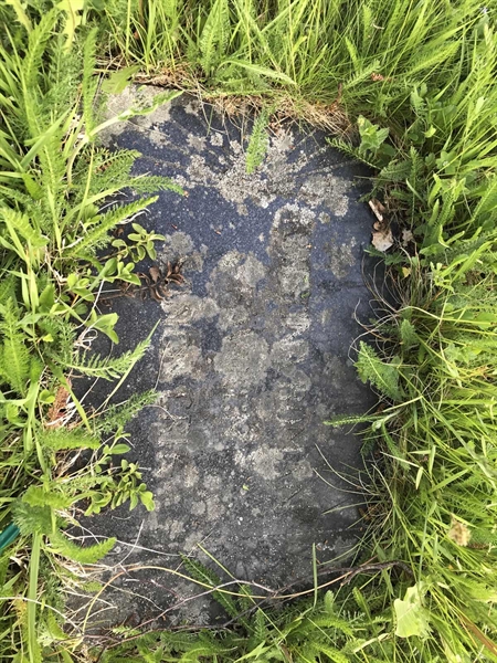 Grave number: KA E   426, 427