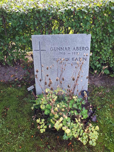 Hautatunnus: NK F D    50