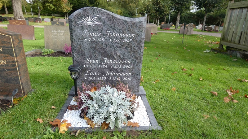 Grave number: SN D   320
