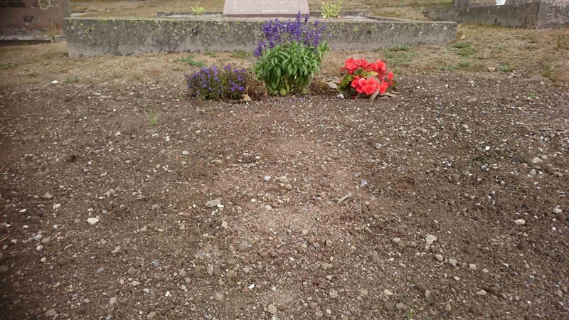 Grave number: LN 003  1137, 1138