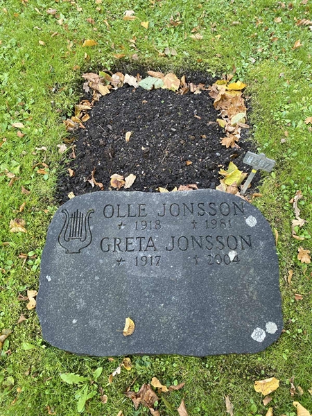 Hautatunnus: 1 H   487