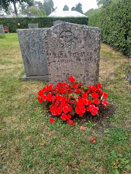 Grave number: 1 13  164