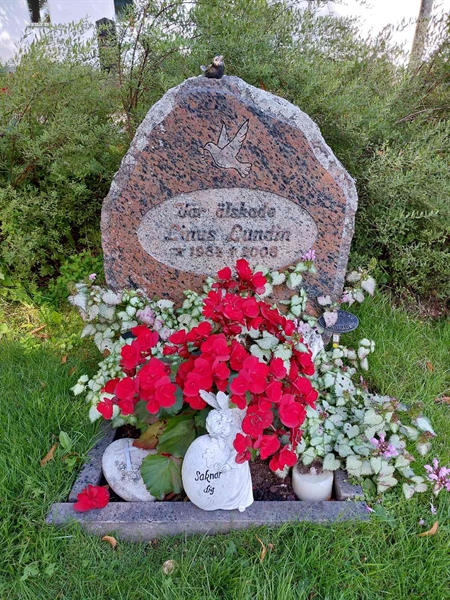 Hautatunnus: 1 D   016B