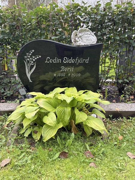 Grave number: 3  2423