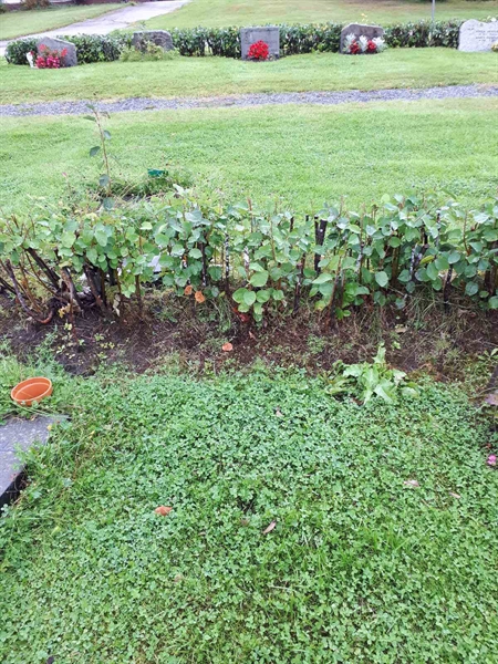 Gravnummer: NK F A    61