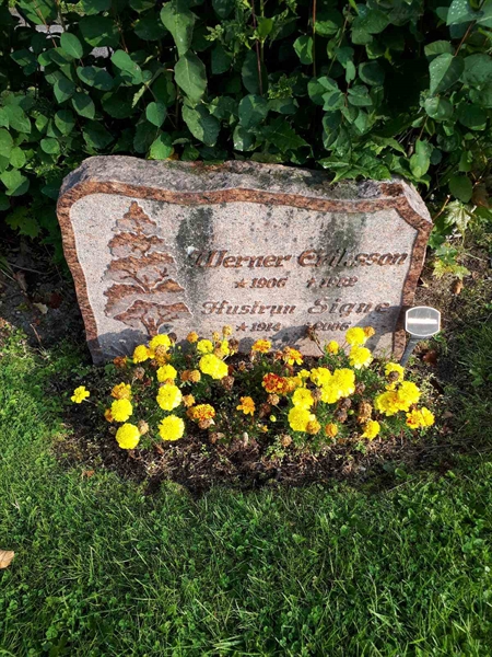 Hautatunnus: NK F C    35-36