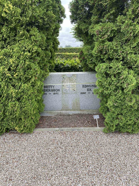 Grave number: VN Z     3