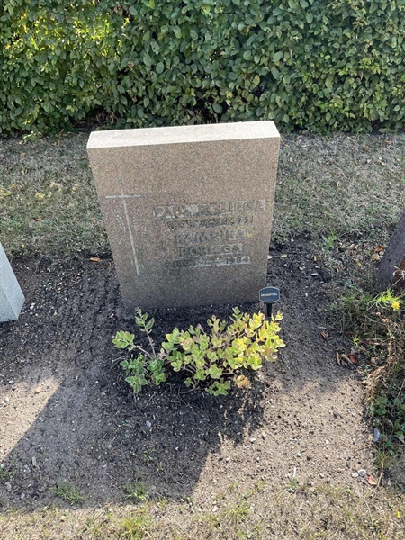 Grave number: NK XV:u    28