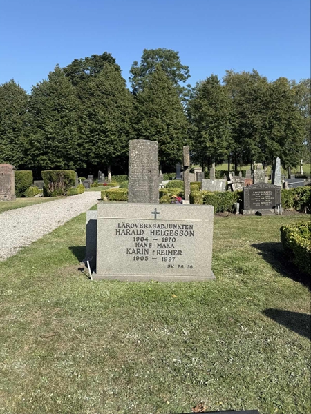 Gravnummer: AN 8    31