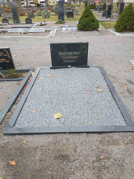 Hautatunnus: VK B 166, 167