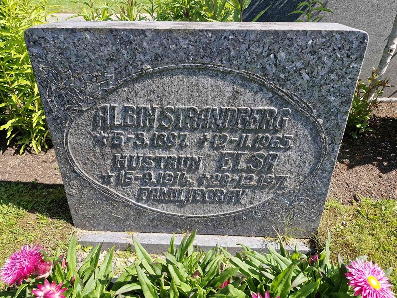 Hautatunnus: 1 ARVED 19
