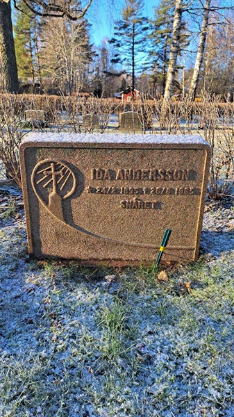 Gravnummer: 6 05    113